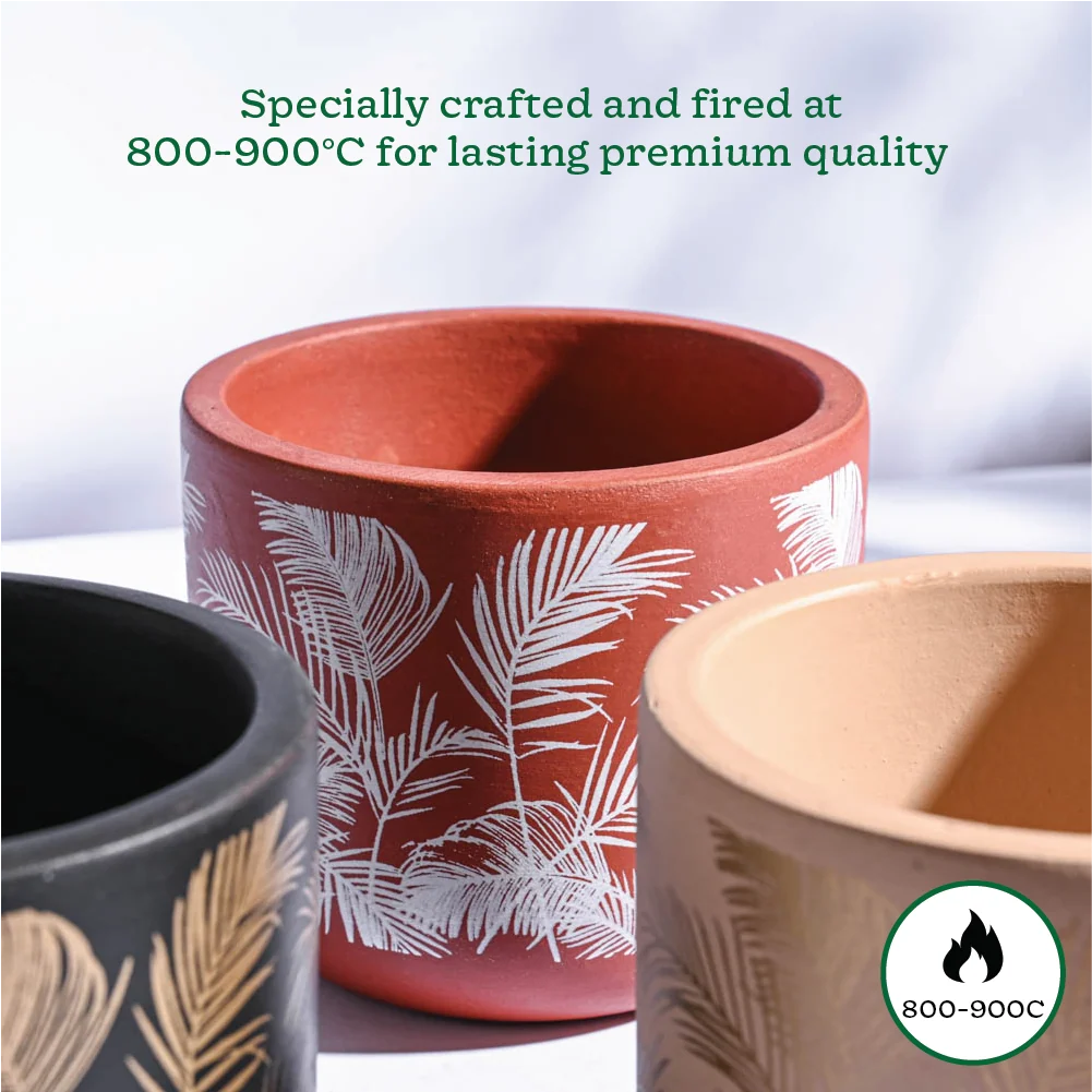 Ceramic Decorative Plant Pot Set – Modern Indoor Planter for Home & Office (Set of 3)