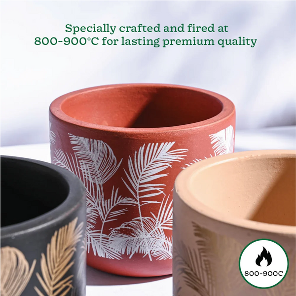 Ceramic Decorative Plant Pot Set – Modern Indoor Planter for Home & Office (Set of 3)