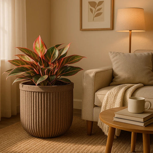 Large Ribbed Decorative Indoor Planter – Modern Flower Pot for Home & Office