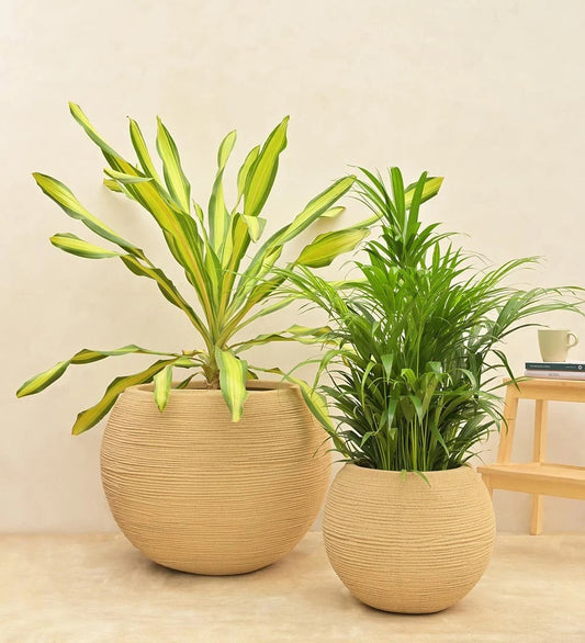 Set of 2 Modern Ribbed Decorative Planters – Large Indoor Flower Pots for Home & Garden